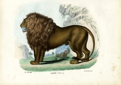 Leeuw, 1863-79 door Raimundo Petraroja